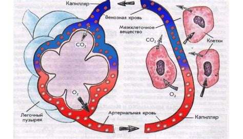 Сравнение с другими газами