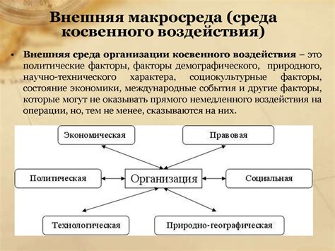 Сравнительный анализ различных уровней внешней среды