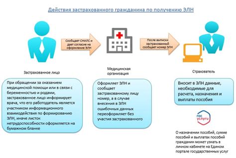 Сроки и порядок оплаты