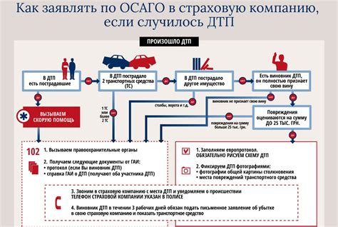 Сроки рассмотрения заявления об отключении ОСАГО