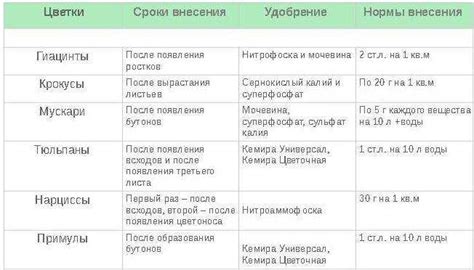 Сроки цветения лилии в закрытой школе