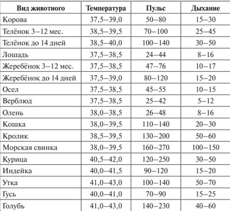 Стабильность пульса и дыхания