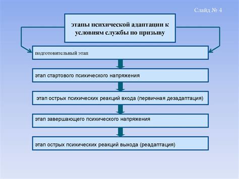 Стадии процесса адаптации Фокус 3