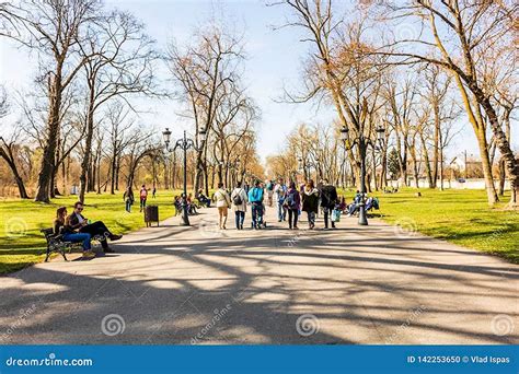 Старт с утра: прогулки по парку