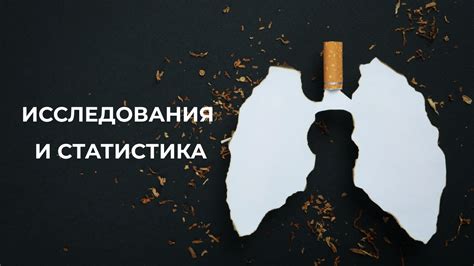 Статистика и исследования