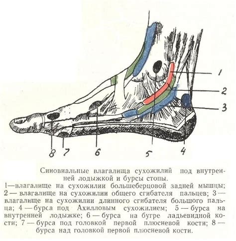 Статическая нагрузка на стопы в течение дня