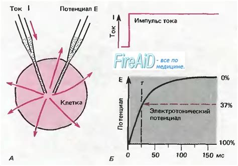 Стимуляция и раздражение