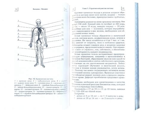 Стимуляция обменных процессов в организме