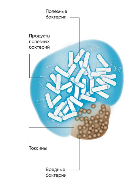 Стимуляция роста полезных кишечных бактерий