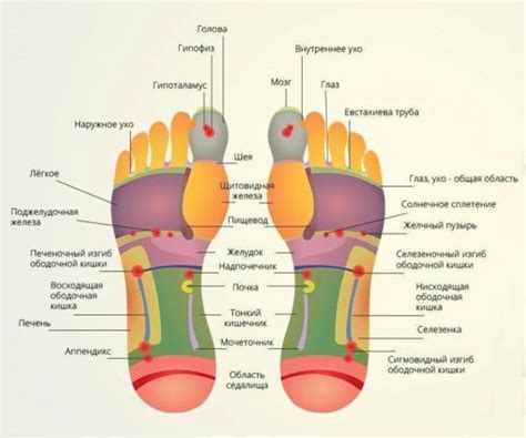Стимуляция точек на стопе для общего улучшения организма