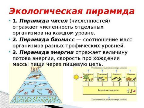 Столкновения и перенос энергии