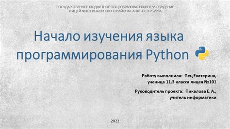 Стратегии изучения и развития навыков программирования на Python