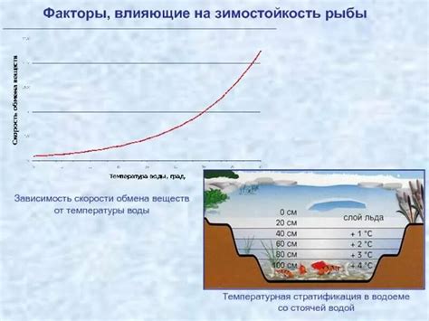 Стратификация воды