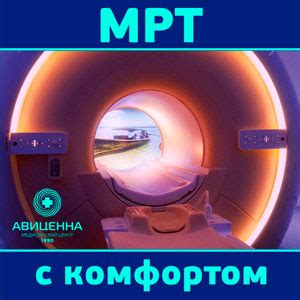 Страх перед Хогвартсом: предубеждения и мифы