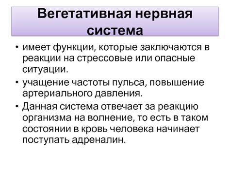 Стрессовые ситуации и нервная система