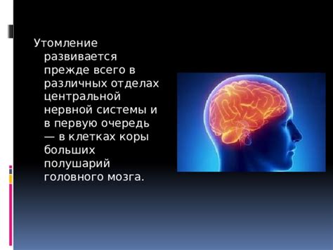 Стресс и утомление в период активности мозга