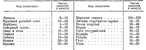 Стресс и частота дыхания у щенка