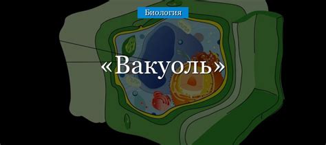 Строение вакуолей у растений