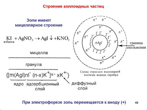 Строение и свойства коллоидных веществ: ключ к эффективным процессам