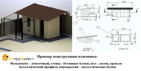 Строительство курятника: шаг за шагом