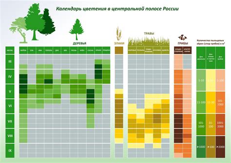 Структура и период цветения