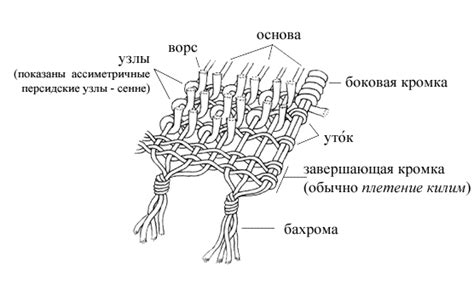 Структура ковра и особенности загрязнений