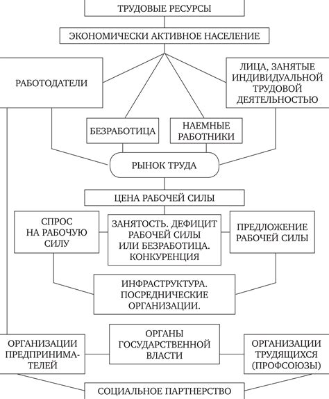 Структура рынка труда