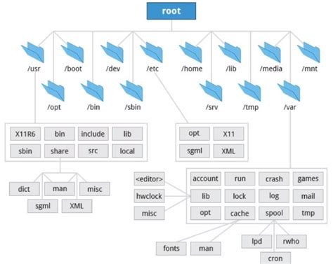 Структура файловой системы Linux: каталоги и файлы