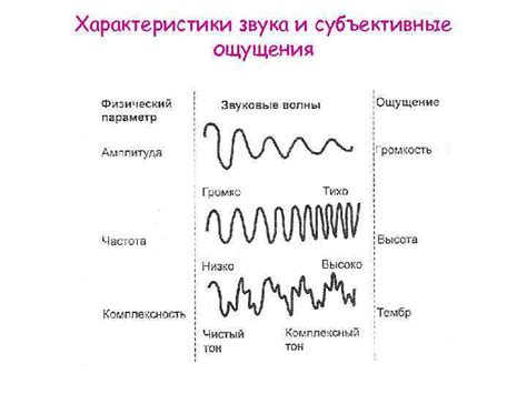 Субъективные ощущения: взгляд изнутри