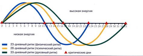 Суточные биоритмы