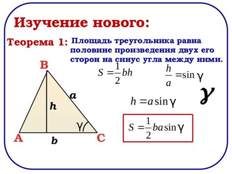 Суть и применение площади треугольника