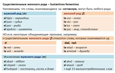 Существительные, оканчивающиеся на согласную