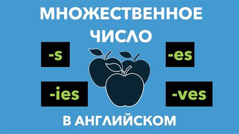 Существительные в английском языке: правила и исключения образования множественного числа