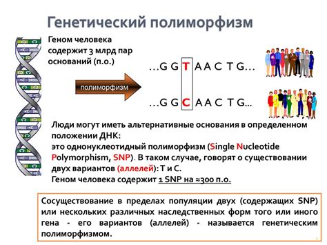 Существуют ли генетические основания для схожести людей?