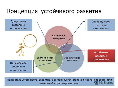 Сущность и значимость устойчивого иона