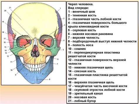 Схема и инструкция по построению черепа в Майнкрафте