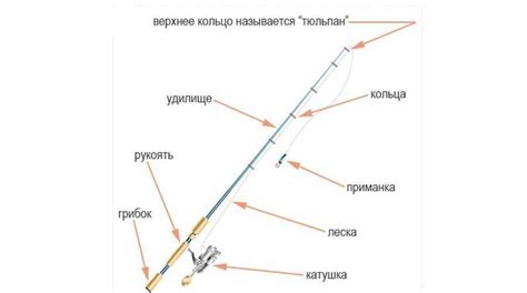 Схема и состав удочки: основные элементы рыболовного снаряда