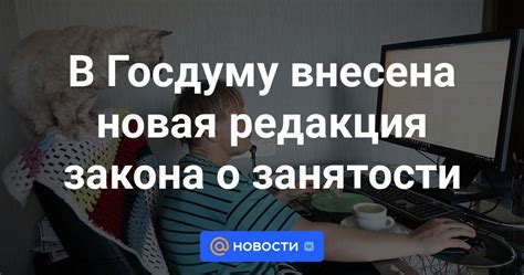 Счетчики и самозанятые: новая форма непрофильной занятости