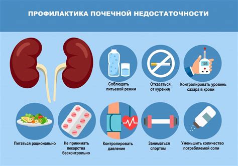 Сыр и его положительное влияние при почечной недостаточности