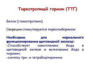 ТТГ – важный показатель гормонального баланса