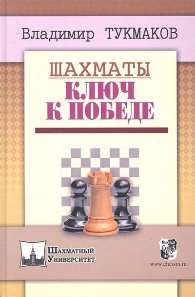 Тактическое мышление в нардах: ключ к победе