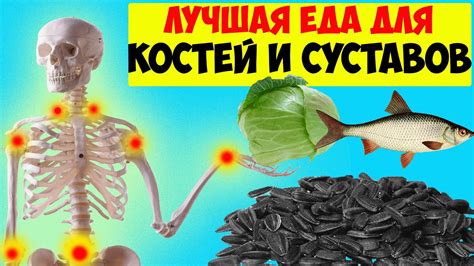 Творог и яйцо для укрепления костей