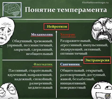 Темпераментальный профиль сангвиника-холерика