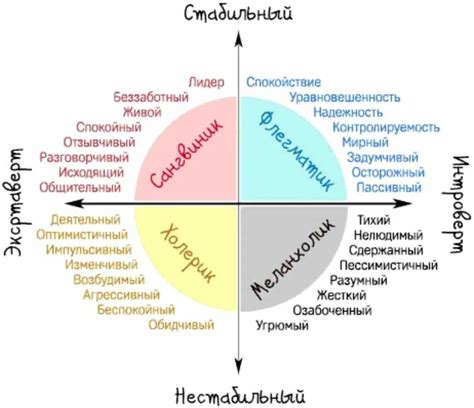 Темперамент и возможности