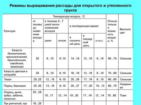 Температурный режим и освещение для баобаба