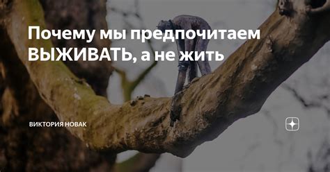 Теория вознаграждения: почему мы предпочитаем мгновенное удовольствие