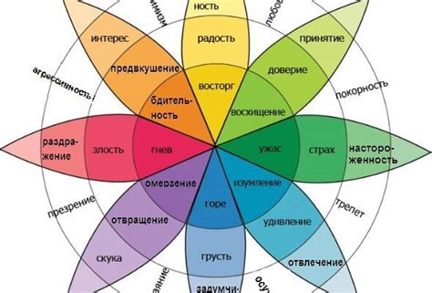 Теория пола Экмана: основы декодирования мимики