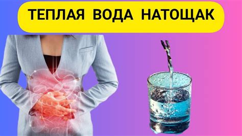 Теплая вода облегчает пищеварение