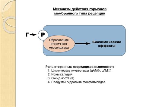 Теплозависимые гормоны: регуляция метаболических процессов при изменении температуры