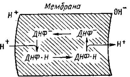 Теплообразование